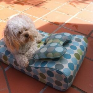 Custom Dog Bed w Bone Shaped Pillownbsp - Hausers Pationbsp